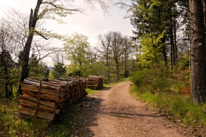 Chemin de randonnée, Thannenkirch